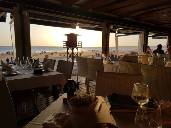 5 raisons de savourer un plat au restaurant de la plage d'Arone